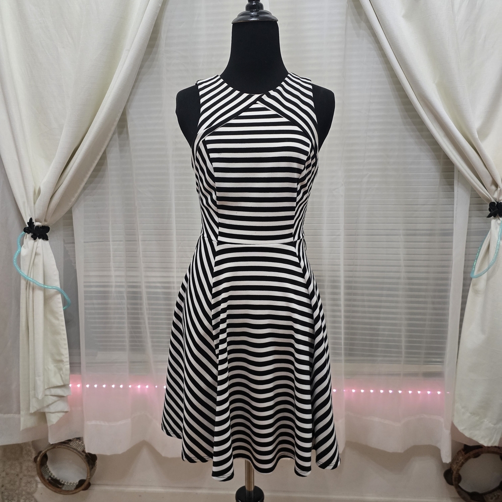 Arden B. black and white striped Skater dress